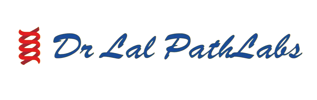 Partner 2